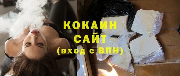 apvp Каменка