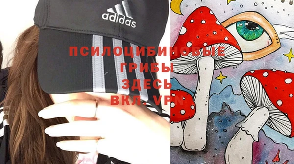 тгк Каменск-Шахтинский