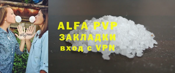 apvp Каменка