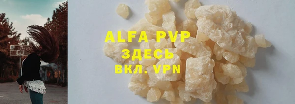apvp Каменка