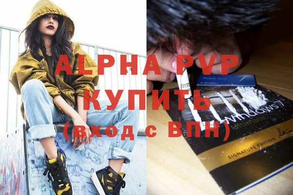 apvp Каменка