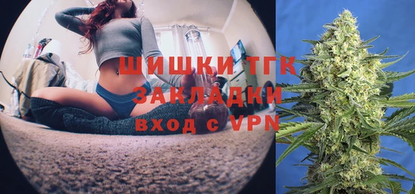 дживик Каменногорск