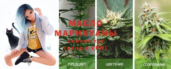 apvp Каменка