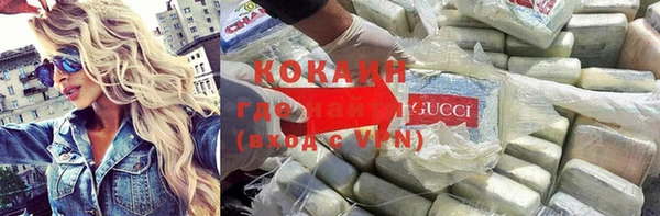 apvp Каменка
