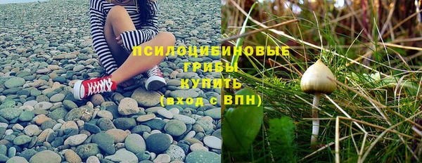 apvp Каменка