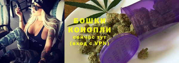 apvp Каменка