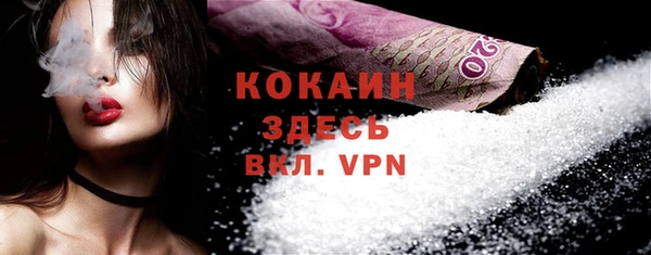 дживик Каменногорск