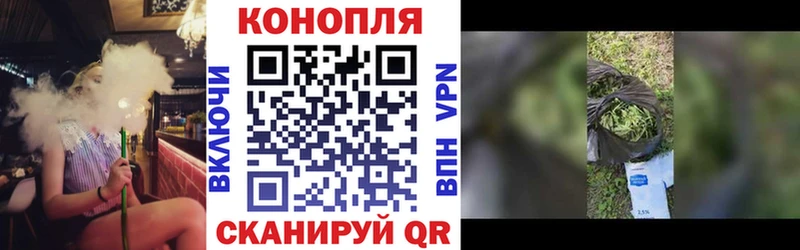 Купить где  Лиски  Бошки Шишки White Widow 